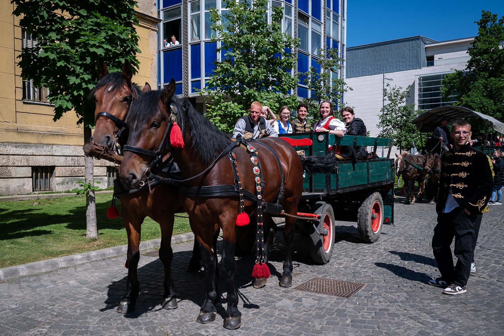 Múzeum utca: pénteken parkolás csak lovaskocsival